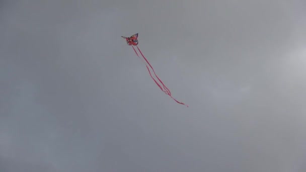気分の悪い暗い空に対して長い尾を持つ蝶凧を飛ぶ — ストック動画