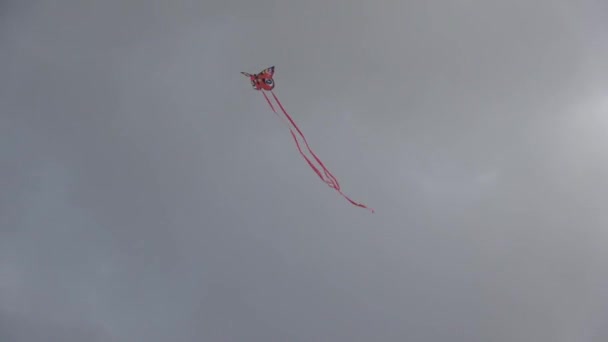 Pipa Borboleta Voadora Com Caudas Longas Contra Céu Escuro Temperamental — Vídeo de Stock