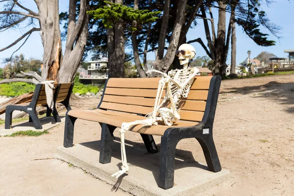 İskelet sahilde bir bankta oturur dalgaları izlerken