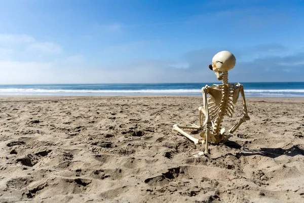 Esqueleto Senta Praia Assistindo Ondas — Fotografia de Stock