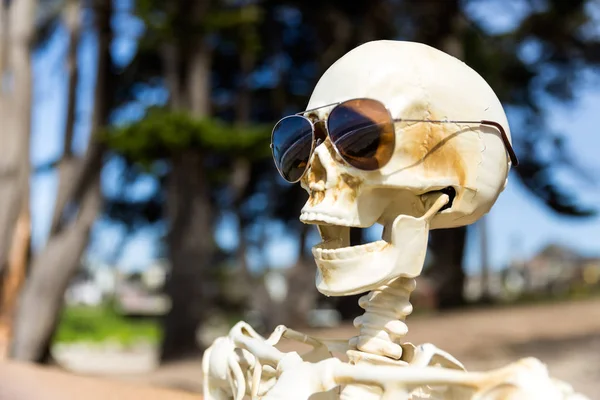Close up of skeleton\'s face with coastal tree background