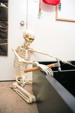 Siyah ahşap raf montajı Kemikli iskelet