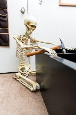 Siyah ahşap raf montajı Kemikli iskelet