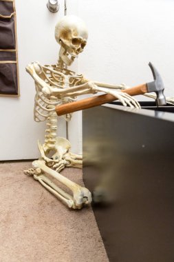 Siyah ahşap raf montajı Kemikli iskelet