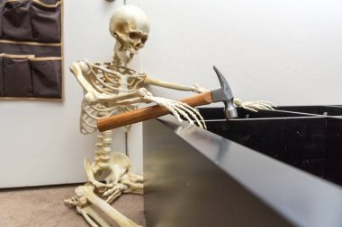 Siyah ahşap raf montajı Kemikli iskelet