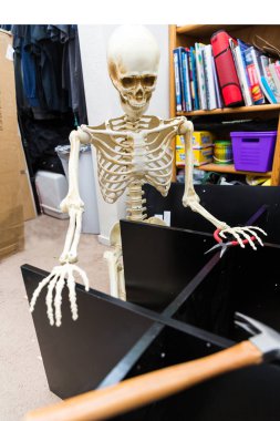 Siyah ahşap raf montajı Kemikli iskelet