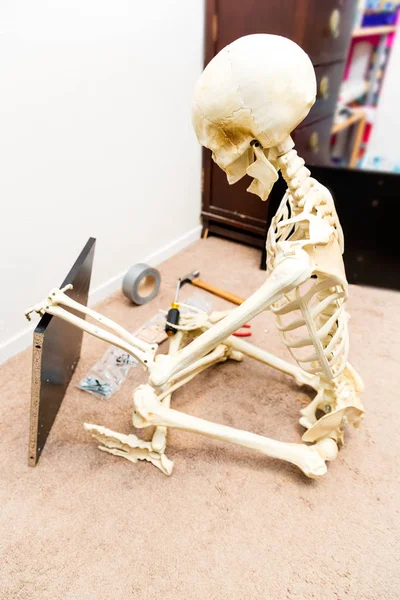 Bony Skeleton Assembling Black Wooden Shelf — Stock Photo, Image