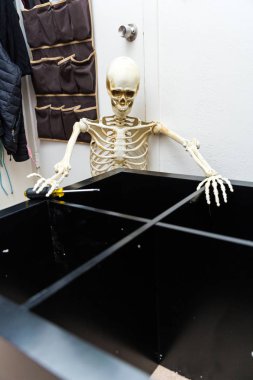 Siyah ahşap raf montajı Kemikli iskelet