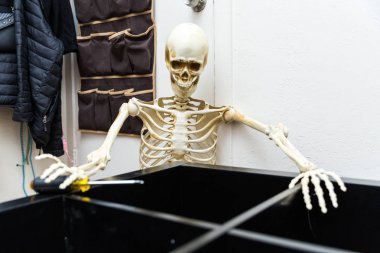 Siyah ahşap raf montajı Kemikli iskelet