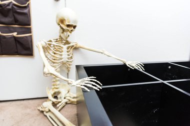 Siyah ahşap raf montajı Kemikli iskelet