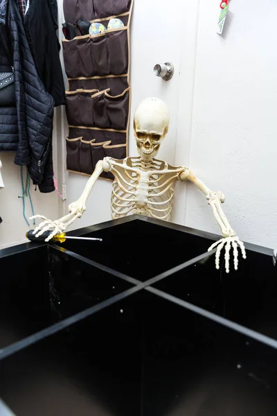 Esqueleto Osso Montando Uma Prateleira Madeira Preta — Fotografia de Stock