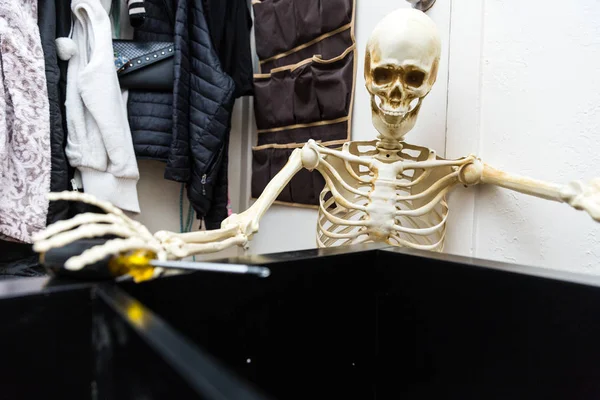 Esqueleto Osso Montando Uma Prateleira Madeira Preta — Fotografia de Stock