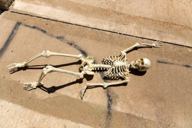 Ludwig madeni Nevada harabelerinde susuzluktan ölen iskelet