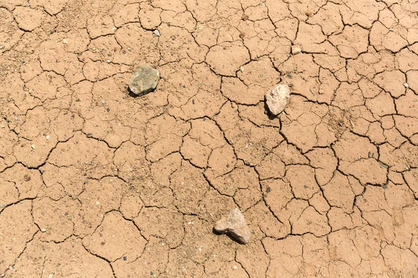 Lama Seca Morta Deserto — Fotografia de Stock