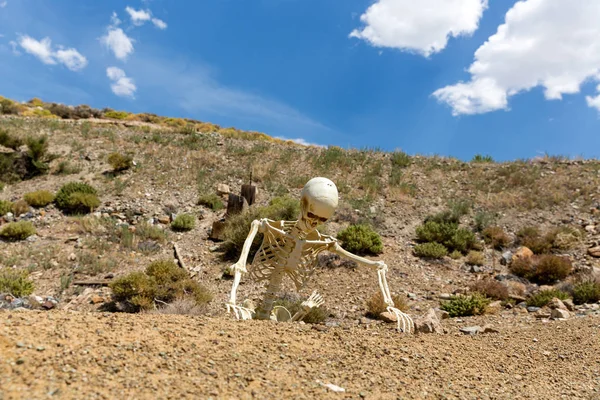 Esqueleto Rastejando Deserto Procura Água — Fotografia de Stock