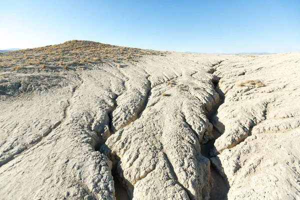 Nature conservation area on the playa in the Black Rock desert