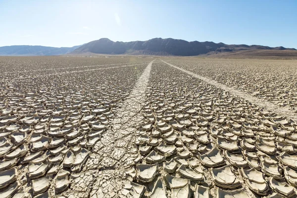 Tire tracks running across the black rock desert playa