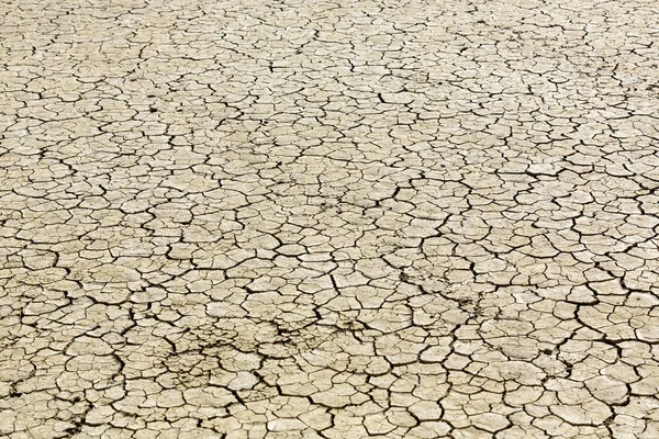 Cracked playa mud texture from the desert