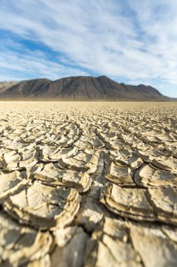 Çatlamış playa çamur dokusu Black Rock çölündeki dağlara çıkıyor