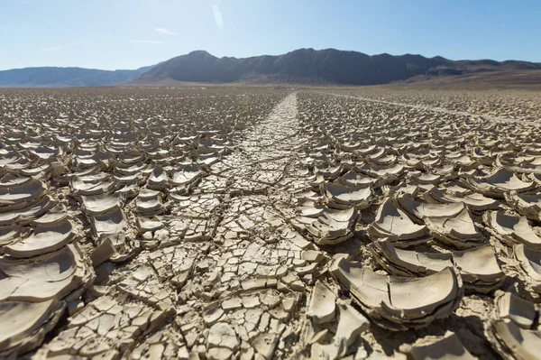 Tracce Pneumatici Che Attraversano Deserto Nero Della Roccia Playa — Foto Stock