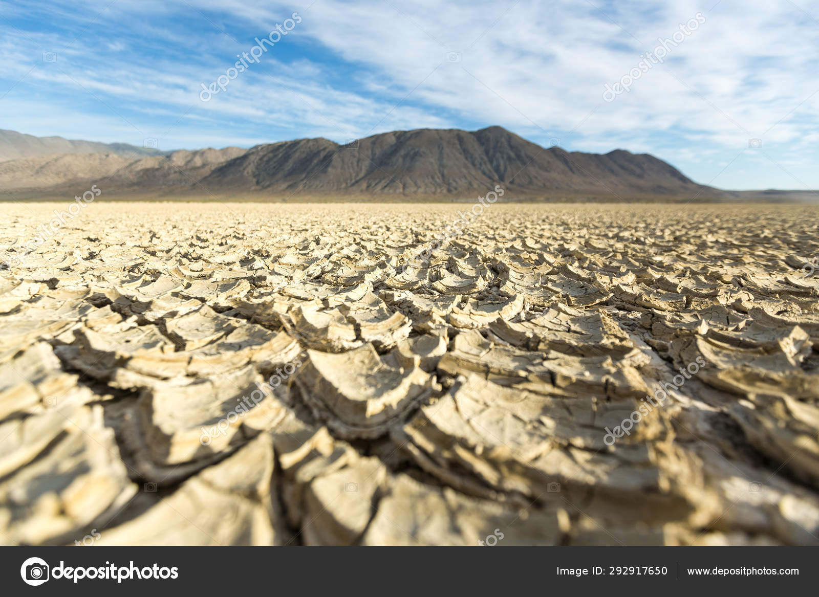 Cracked Playa Mud Texture Leading Out Mountains Black Rock Desert — Stock  Photo © Ecummings00 #292917650, image size:1600x1167
