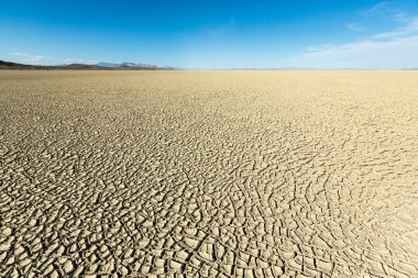 Çatlamış playa çamur dokusu Black Rock çölündeki dağlara çıkıyor