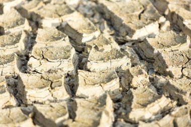 Çölden çatlamış playa çamur dokusunun büyük parçaları ve parçaları