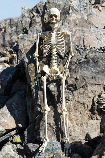 Скелет Стоящий Против Камней Пустыне — стоковое фото