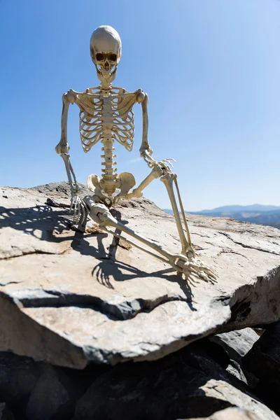 Skelett Sitzt Auf Felsen Der Wüste Mit Einem Schönen Blauen — Stockfoto
