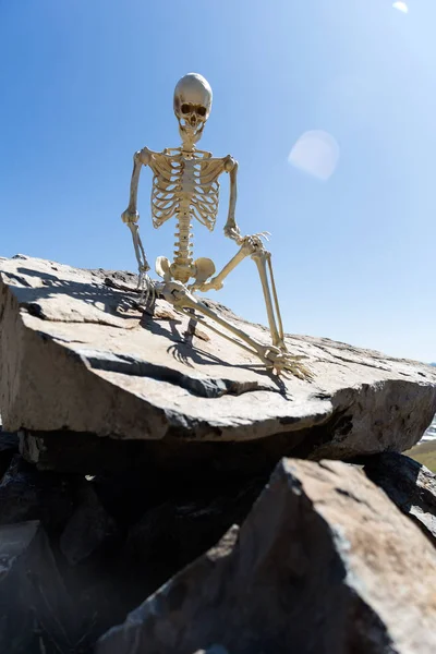 Skeleton Sitting Rocks Desert Beautiful Blue Sky — 스톡 사진