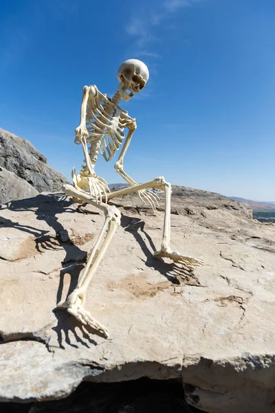 Skeleton Sitting Rocks Desert Beautiful Blue Sky — Stock Photo, Image