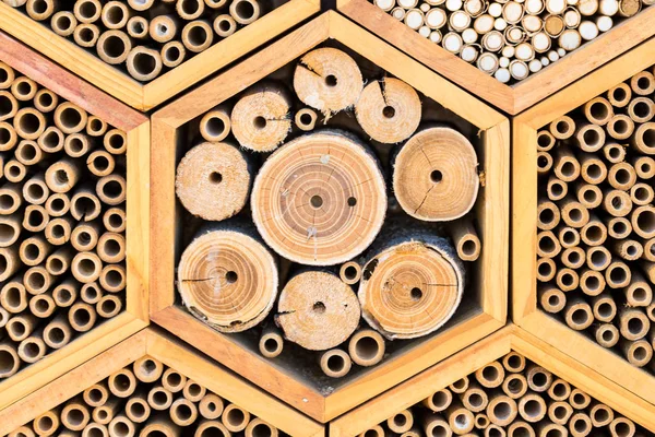 Geometric Patterns Bee Hotel Habitats Hollow Tubes — Stock Photo, Image