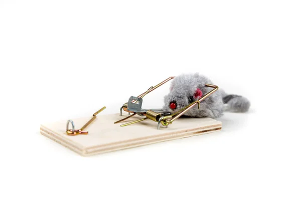 Grey toy mouse prowling around a wood mouse trap