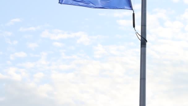 泛美州和涅瓦达州的国旗在美丽明亮的天空中缓缓飘扬 时速120 Fps — 图库视频影像