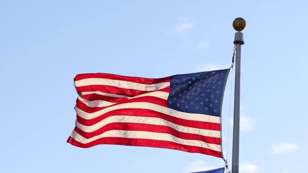Bandiera Americana Che Sventola Bellissimo Cielo Blu Rallentatore 120 Fps — Video Stock