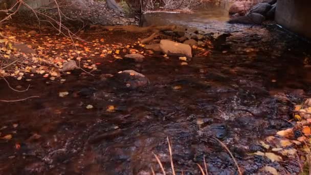 在一条黑暗的小溪流中奔流着水 流过一座桥 — 图库视频影像