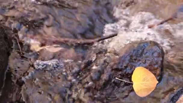 Желтый Осенний Лист Застрял Скале Потоке Неба Отражения Замедленного Движения — стоковое видео