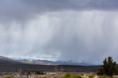 Çöldeki çalı ve ağaçların üzerinde Virga yağmur sahnesi