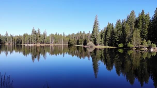 Pase Rato Sobre Agua Por Borde Lago Azul Con Árboles — Vídeos de Stock