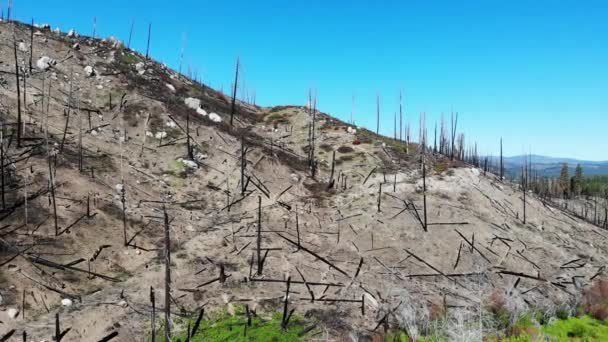 Pan Izquierda Colina Desnuda Cañón Con Árboles Arbustos Quemados Recuperándose — Vídeo de stock