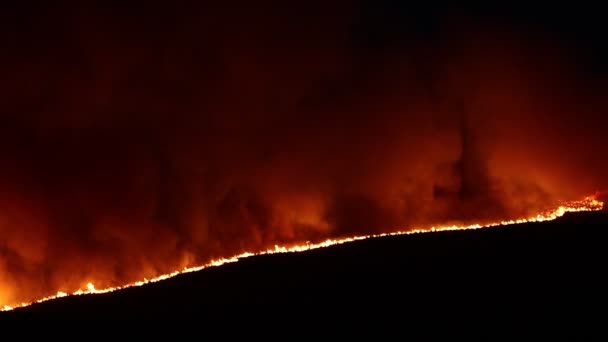 Raging Vuurlijn Brandende Vlammen Nachts Van Wildvuur Nevada — Stockvideo