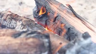 Kamp ateşi odunlarında parlayan közleri kapat ağır çekimde 