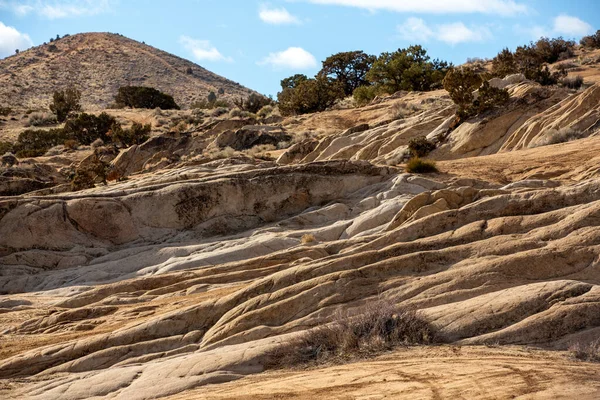 Sunny Day Rock Field Water Cut Ledges Moonrocks Nevada — Stock Photo, Image