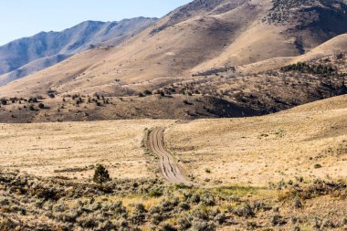 Çöl dağları ve kuru otlar arasında eski, nemli bir yol.
