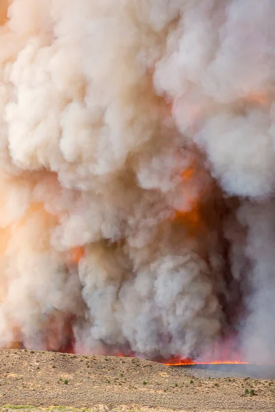 Línea Fuego Humo Gris Denso Gran Incendio Forestal Sobre Área — Foto de Stock