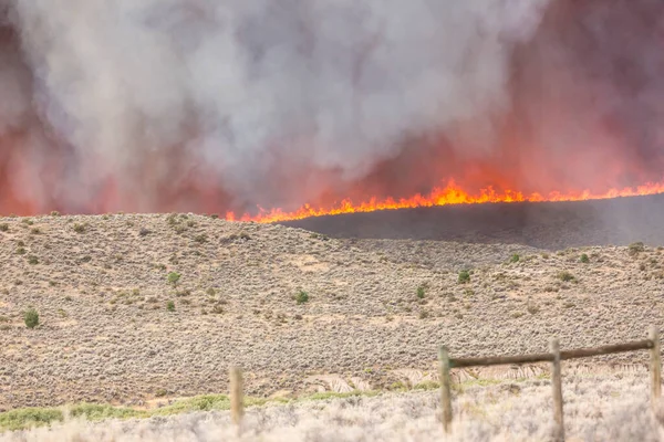 Línea Fuego Humo Gris Denso Gran Incendio Forestal Sobre Área — Foto de Stock