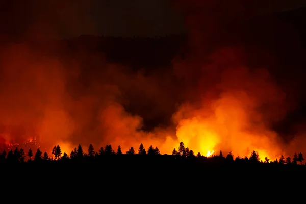 Furioso Muro Humo Proveniente Incendios Forestales Zona Del Valle — Foto de Stock