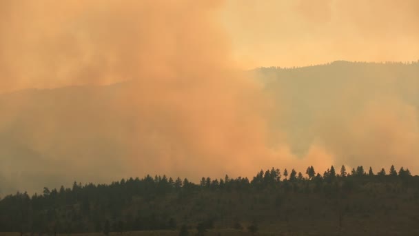 Heavy Orange Smoke Obscuring Sun Wildfire Trees — Stok video