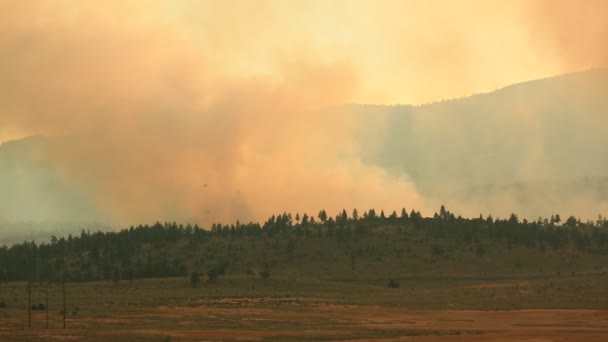 Firefighting Helicopter Dropping Water Mostly Obscured Heavy Smoke Wildfire — Stok video