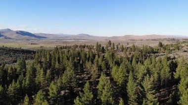  Yavaş çekim insansız hava aracı, sınır kasabası ve soğuk bahar ormanı BLM üzerinde bırakılmış.